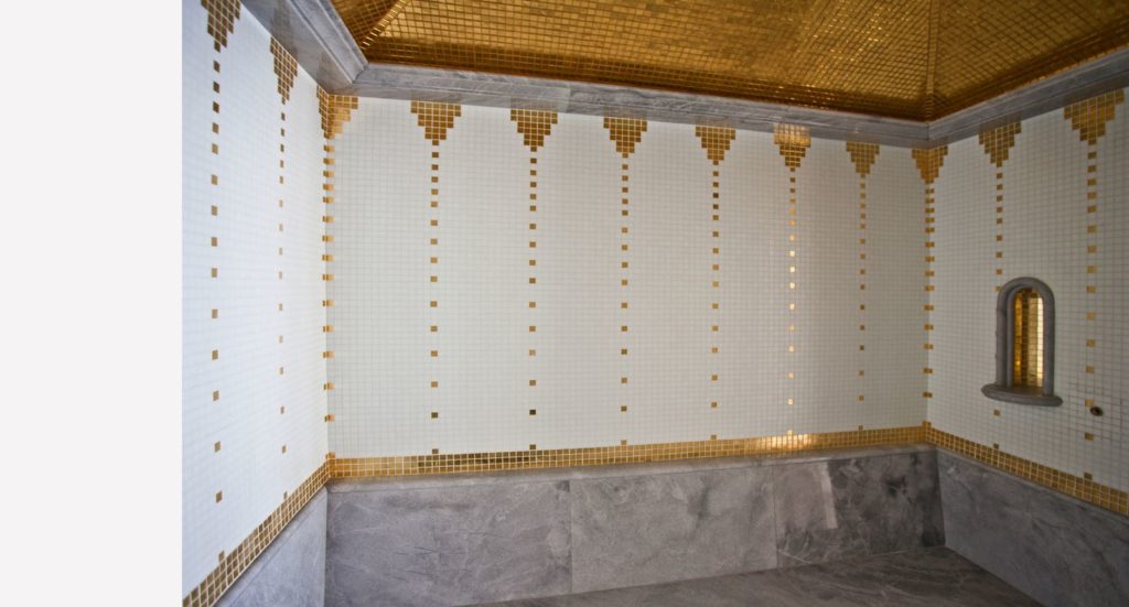 Maison de Maitre, Lutry, vue 15